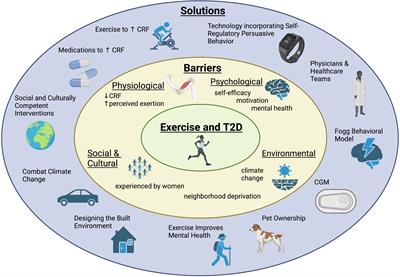 A narrative review of exercise participation among adults with prediabetes or type 2 diabetes: barriers and solutions